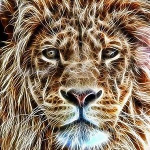 Meet your Posher, Lynda